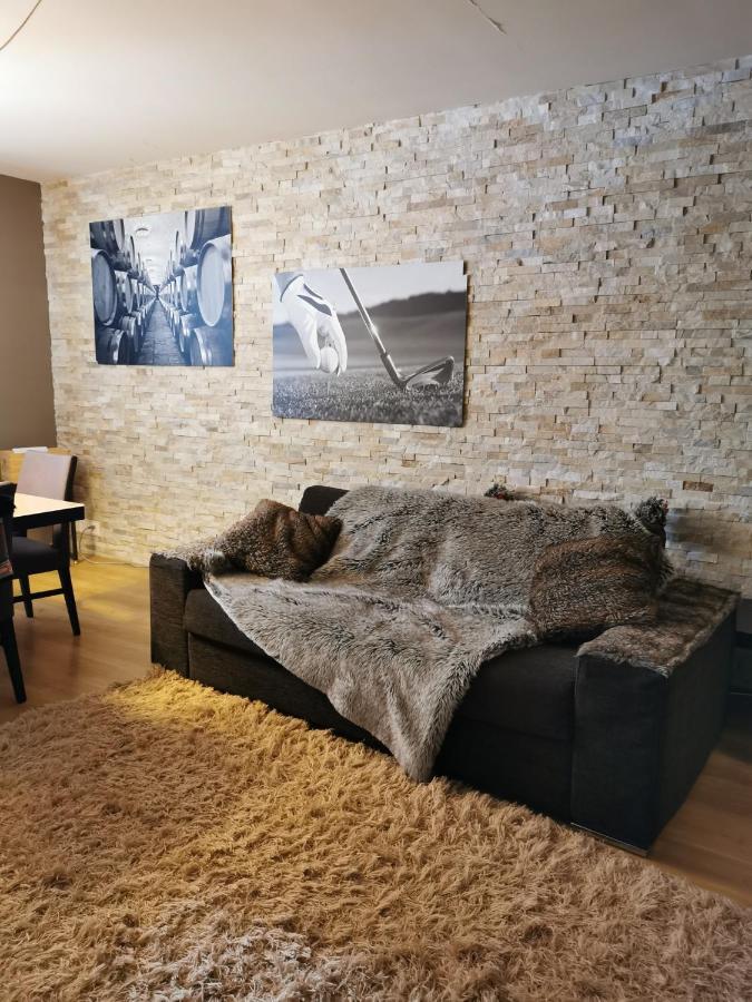 Appartement In Crans Montana المظهر الخارجي الصورة